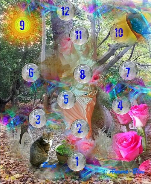 12=sphere-crystal-treel-life