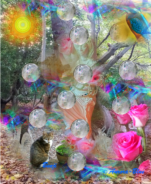 12 sphere crystal tree of life