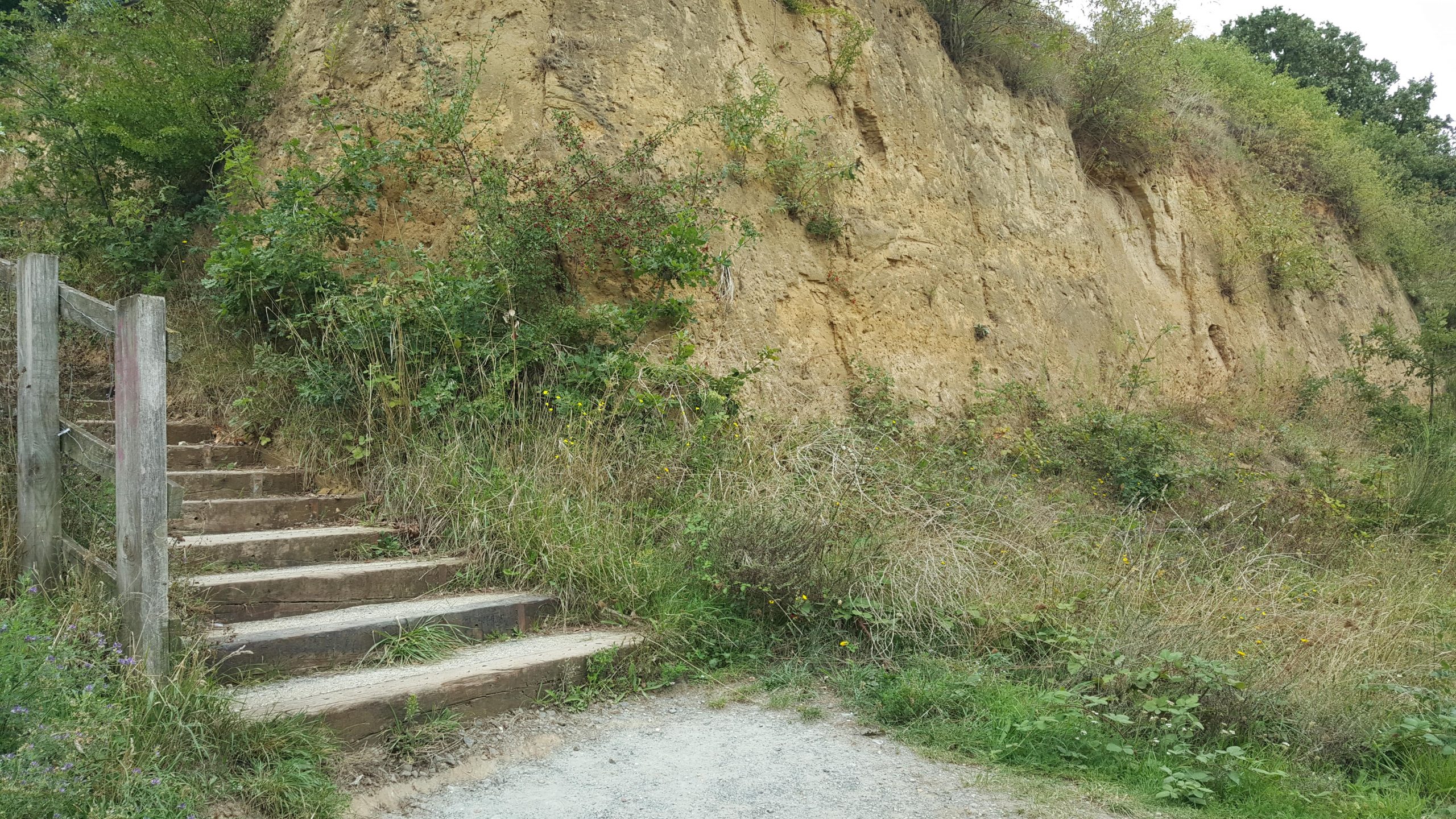 sand cliff,stairs