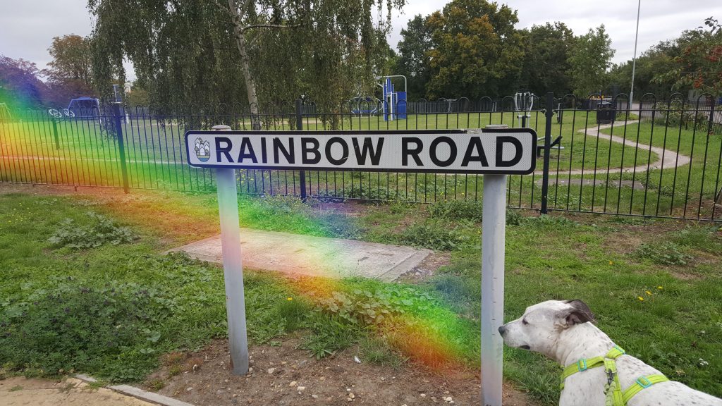 rainbow rd