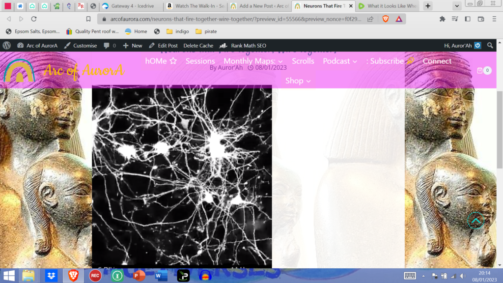 Neurons that Fire together, Wire together!